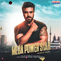 Mega Powerstar Tribute Song