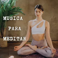 Musica para Meditar