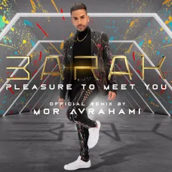 Pleasure to Meet You Mor Avrahami Remix