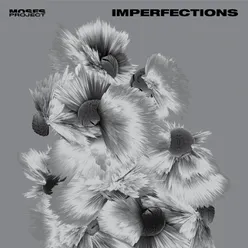 Imperfections Moses Project