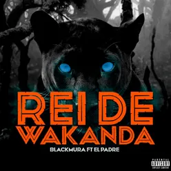 Rei de Wakanda