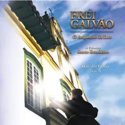 Frei Galvão - o Arquiteto da Luz O Primeiro Santo Brasileiro