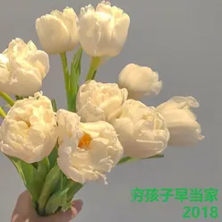 穷孩子早当家 2018