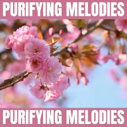 Purifying Melodies