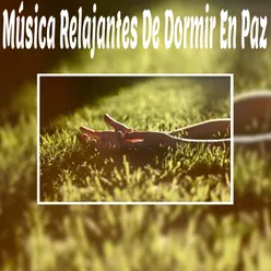 Música Relajantes de Dormir en Paz