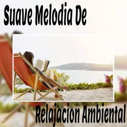 Meditación Budista