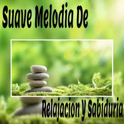 Relajación Mental Música Ambiental