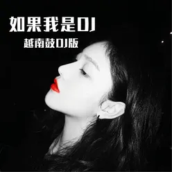 如果我是DJ 越南鼓版