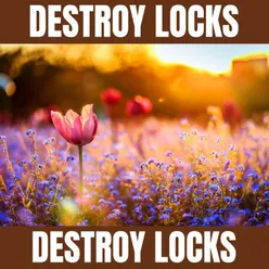 Destroy Locks