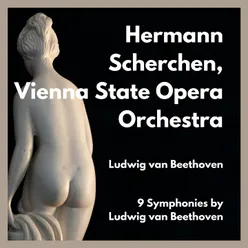 Symphony No.2 in D Major Op. 36 : II.Larghetto