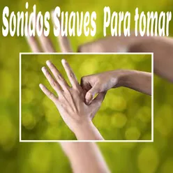 Sonidos Suaves para Tomar