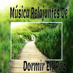 Música Relajantes de Dormir en Paz