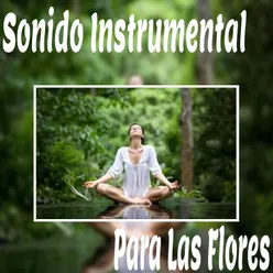 Música de Relax