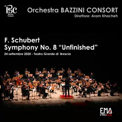 Symphony No. 8 in B Minor, D. 759 "Unfinished": I. Allegro Moderato