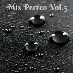 Mix Perreo Vol.5