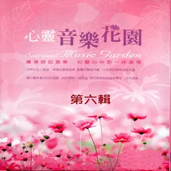 心靈音樂花園 第六輯 Spiritual Music Garden