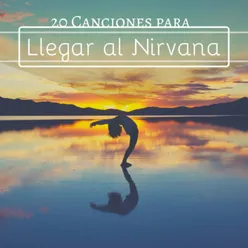 20 Canciones Para Llegar Al Nirvana