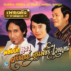 เพลงดังหาฟังยาก - ลูกทุ่งรวมฮิต พลังบิ๊ก ชุด 1 Golden Oldies of Thai Country Songs.