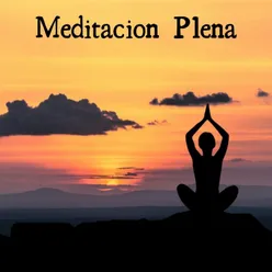 Meditación Plena