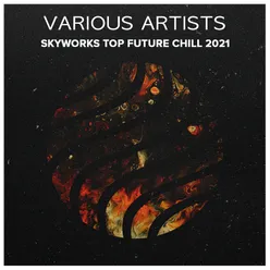 Va Skyworks Top Future Chill