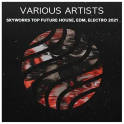 Va Skyworks Top Future House, Edm, Electro
