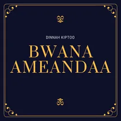 Bwana Ameandaa