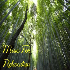 Music For Relaxation