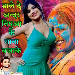 Dale De Andar Nipuaa Ke Gana Baja Ke Holi Song