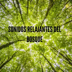 Sonidos Relajantes del Bosque