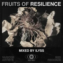 Source Mixed By Ilyss