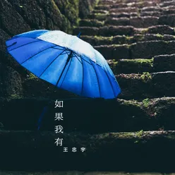 如果我有