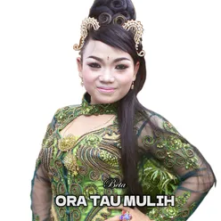 Ora Tau Mulih