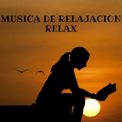 Musica de Relajacion Relax