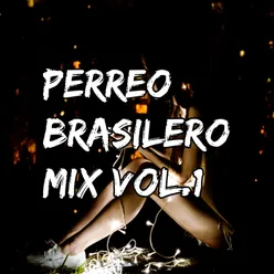Perreo Brasilero Mix Vol.1