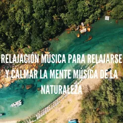 Relajación Música para Relajarse y Calmar la Mente Música de la Naturaleza