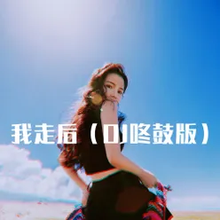 我走后 DJ咚鼓版