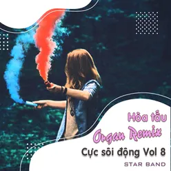 Hòa Tấu Organ Remix Cực Sôi Động, Vol. 8