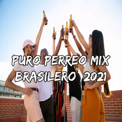 Puro Perreo Mix Brasilero 2021