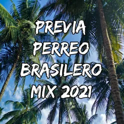 Previa Perreo Brasilero Mix 2021