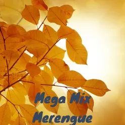 Mega Mix Merengue