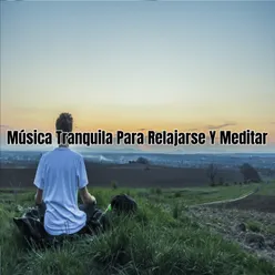 Música Tranquila Para Relajarse Y Meditar