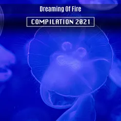 Dreaming Of Fire Compilation 2021