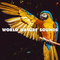 World Nature Sounds