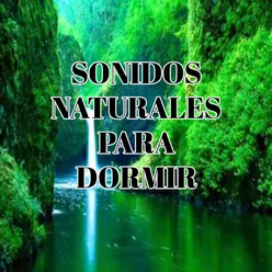 Sonidos Naturales para Dormir