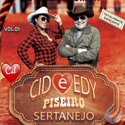 Piseiro Sertanejo, Vol. 1 Totalmente Dançante