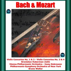 Violin Concerto No. 2 in E Major, BWV 1042: II. Adagio