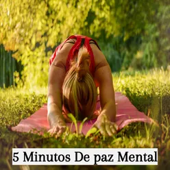5 Minutos De paz Mental