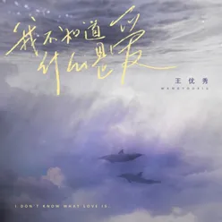 我不知道什么是爱 抒情版