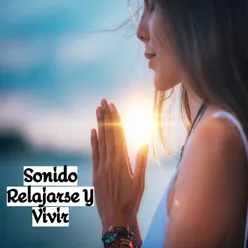 Sonido Relajarse Y Vivir