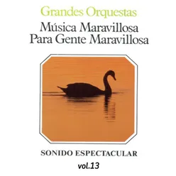 Música Maravillosa para Gente Maravillosa, Vol. 13